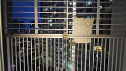 Blk 623B Punggol Spectra (Punggol), HDB 4 Rooms #591529061